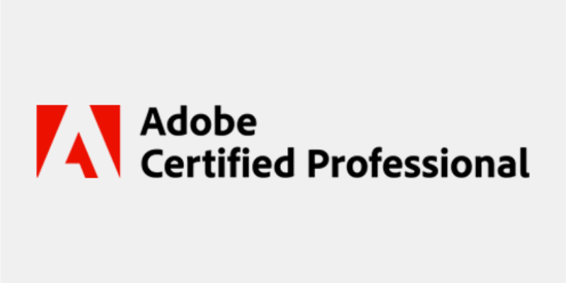 BrainBuffet Adobe Online Course – Single Title